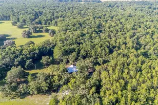 11309 SW 167th Cir, Brooker, FL 32622 - Photo 49