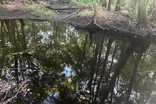 11309 SW 167th Cir, Brooker, FL 32622 - Photo 53