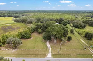 770 S County Road 21, Hawthorne, FL 32640 - Photo 77