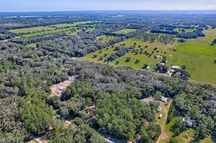 11916 NW State Road 45, High Springs, FL 32643 - Photo 37