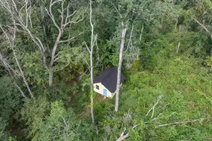 22205 N County Rd 349, O'Brien, FL 32071 - Photo 65