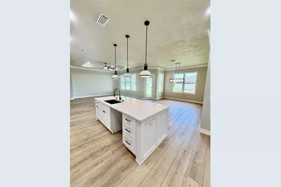20488 NW 160th Lane, High Springs, FL 32643 - Photo 7