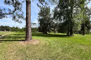 17411 NE County Road 1471, Waldo, FL 32694 - Photo 17