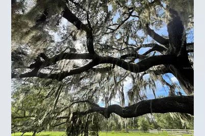 17411 NE County Road 1471, Waldo, FL 32694 - Photo 39