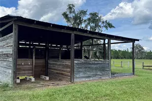 17411 NE County Road 1471, Waldo, FL 32694 - Photo 31
