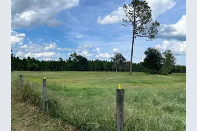 17411 NE County Road 1471, Waldo, FL 32694 - Photo 37