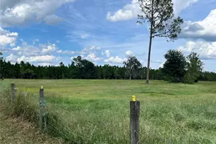 17411 NE County Road 1471, Waldo, FL 32694 - Photo 37