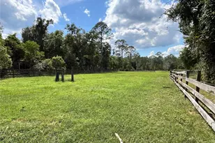 17411 NE County Road 1471, Waldo, FL 32694 - Photo 19