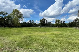 17411 NE County Road 1471, Waldo, FL 32694 - Photo 13