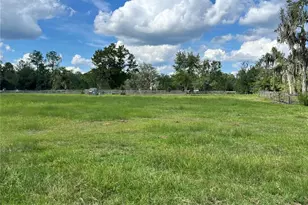 17411 NE County Road 1471, Waldo, FL 32694 - Photo 11