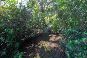 5301 NW County Rd 235, Alachua, FL 32615 - Photo 19