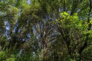 5301 NW County Rd 235, Alachua, FL 32615 - Photo 11