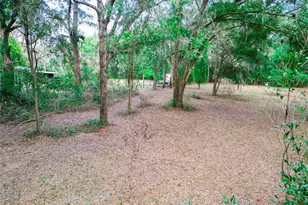 5301 NW County Rd 235, Alachua, FL 32615 - Photo 29