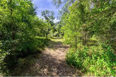 5301 NW County Road 235, Alachua, FL 32615 - Photo 11