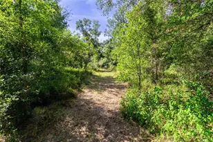 5301 NW County Rd 235, Alachua, FL 32615 - Photo 11