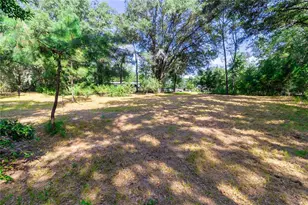 5301 NW County Rd 235, Alachua, FL 32615 - Photo 7