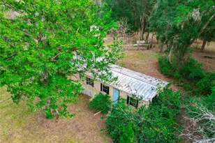 5301 NW County Rd 235, Alachua, FL 32615 - Photo 59