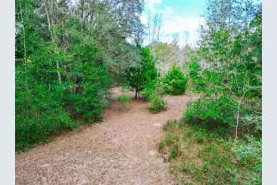 5301 NW County Road 235, Alachua, FL 32615 - Photo 63