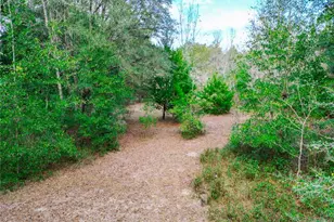 5301 NW County Rd 235, Alachua, FL 32615 - Photo 63