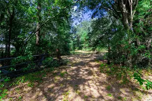 5301 NW County Rd 235, Alachua, FL 32615 - Photo 9