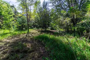 5301 NW County Rd 235, Alachua, FL 32615 - Photo 13