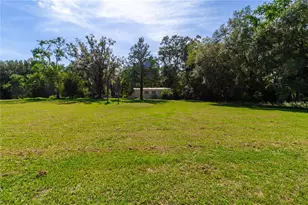 5301 NW County Rd 235, Alachua, FL 32615 - Photo 23