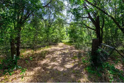 5301 NW County Road 235, Alachua, FL 32615 - Photo 9