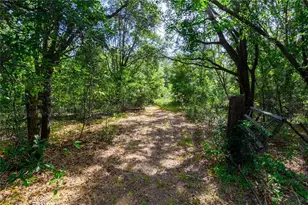 5301 NW County Rd 235, Alachua, FL 32615 - Photo 9