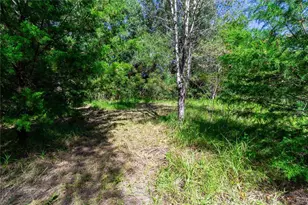 5301 NW County Rd 235, Alachua, FL 32615 - Photo 17