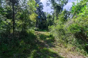 5301 NW County Rd 235, Alachua, FL 32615 - Photo 11