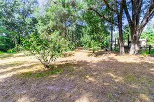 5301 NW County Rd 235, Alachua, FL 32615 - Photo 7