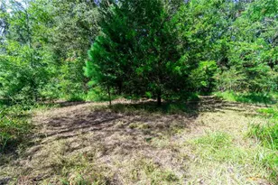 5301 NW County Rd 235, Alachua, FL 32615 - Photo 13