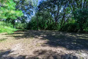 5301 NW County Rd 235, Alachua, FL 32615 - Photo 17