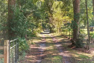 23109 NW 227th Dr, High Springs, FL 32643 - Photo 93