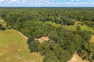 23109 NW 227th Dr, High Springs, FL 32643 - Photo 81