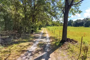 23109 NW 227th Dr, High Springs, FL 32643 - Photo 95