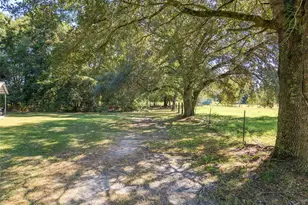 23109 NW 227th Dr, High Springs, FL 32643 - Photo 97