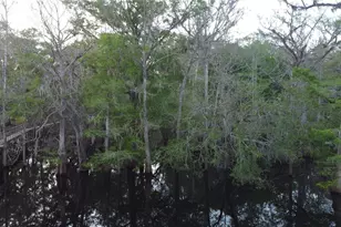 29002 River Run Rd, Branford, FL 32008 - Photo 31