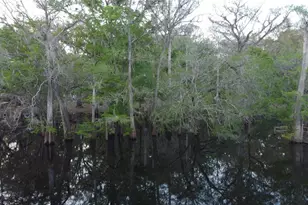 29002 River Run Rd, Branford, FL 32008 - Photo 27