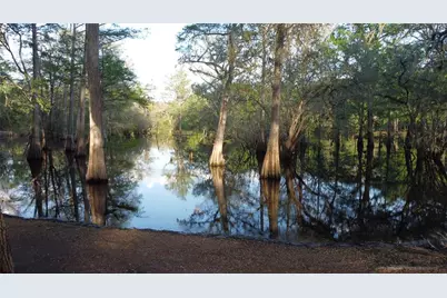 29002 River Run Road, Branford, FL 32008 - Photo 9