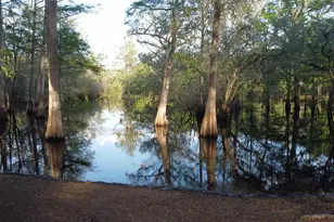 29002 River Run Rd, Branford, FL 32008 - Photo 9