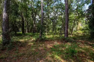 14865 SW 92nd Way, Lake Butler, FL 32054 - Photo 27
