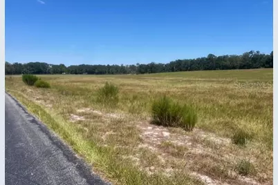 3830 NW 31st Avenue, Bell, FL 32619 - Photo 3