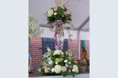 2505 NW 6th Street, Gainesville, FL 32605 - Photo 7