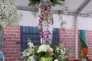 2505 NW 6th St, Gainesville, FL 32605 - Photo 7