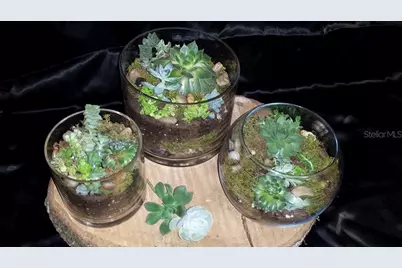 2505 NW 6th Street, Gainesville, FL 32605 - Photo 9