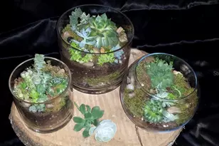 2505 NW 6th St, Gainesville, FL 32605 - Photo 9