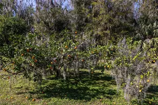 17024 NE 120th Ave, Waldo, FL 32694 - Photo 45