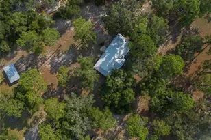 8453 Nittany Dr, Melrose, FL 32666 - Photo 45