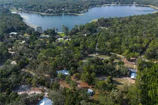 8453 Nittany Dr, Melrose, FL 32666 - Photo 3